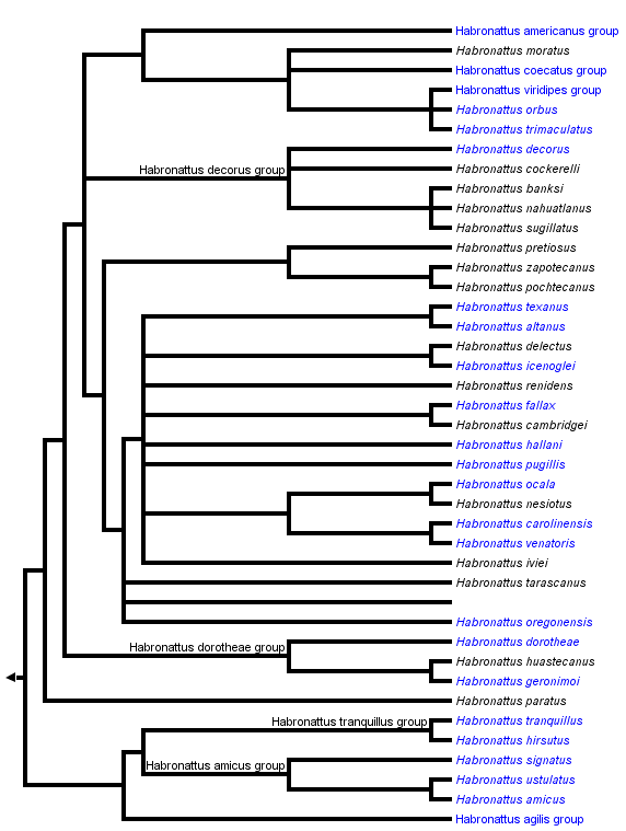 taxon links