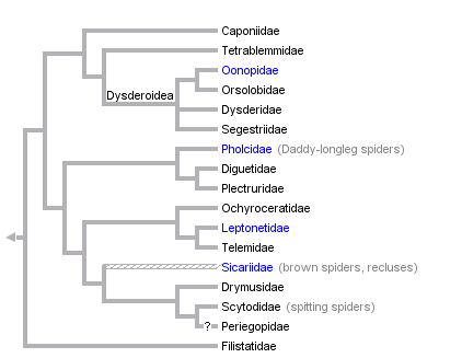 taxon links