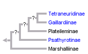 taxon links