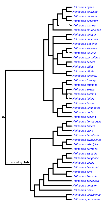 taxon links