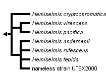 taxon links