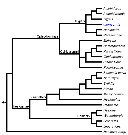 taxon links