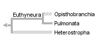 taxon links