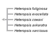 taxon links