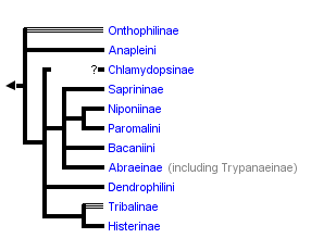 taxon links