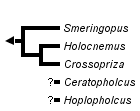 taxon links