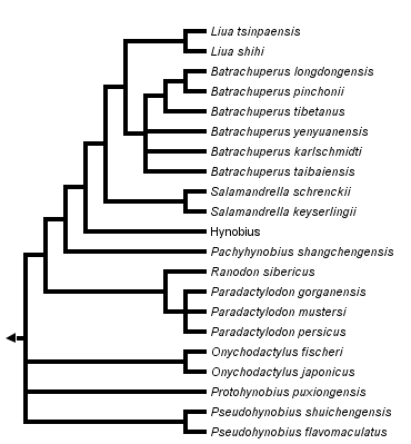 taxon links