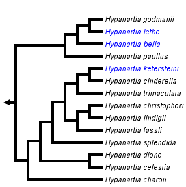 taxon links