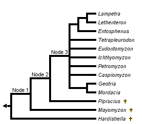 taxon links