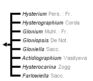 taxon links