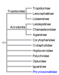 taxon links