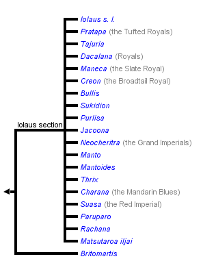 taxon links