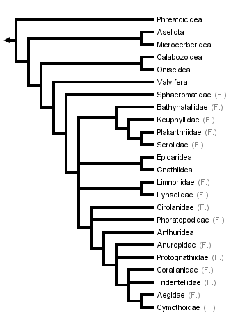 taxon links