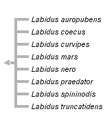 taxon links