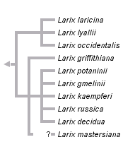 taxon links