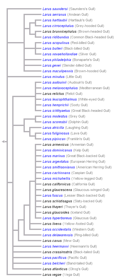 taxon links