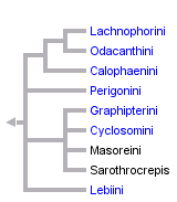 taxon links