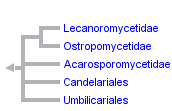 taxon links