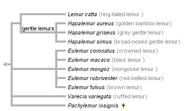 taxon links