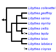 taxon links