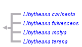 taxon links