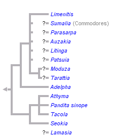 taxon links