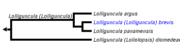 taxon links