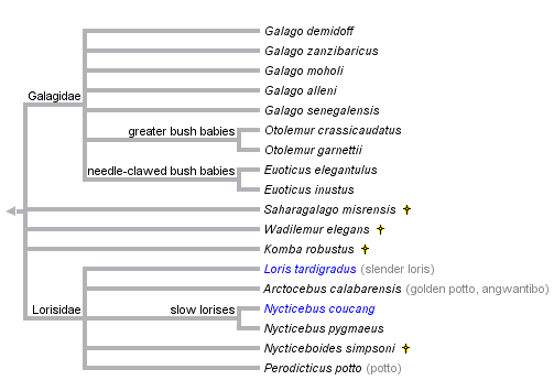 taxon links