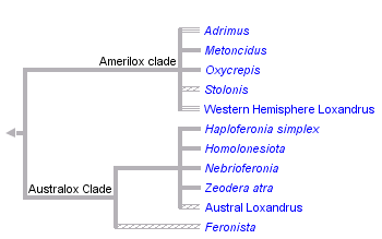 taxon links