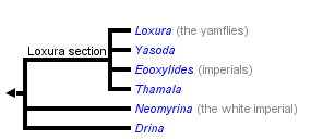 taxon links