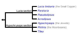 taxon links