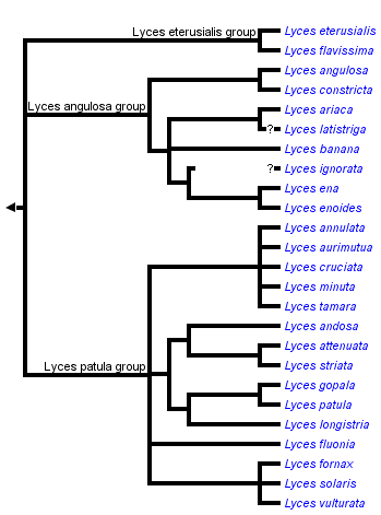 taxon links