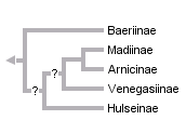 taxon links