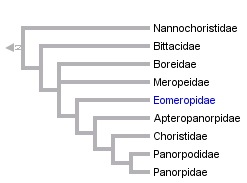 taxon links