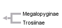 taxon links