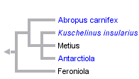 taxon links