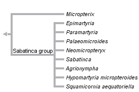 taxon links