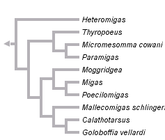 taxon links