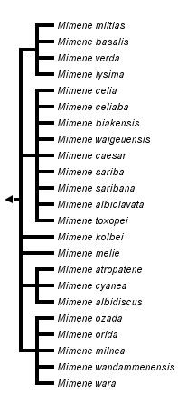 taxon links