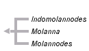 taxon links