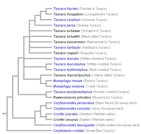 taxon links