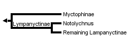 taxon links