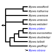 taxon links