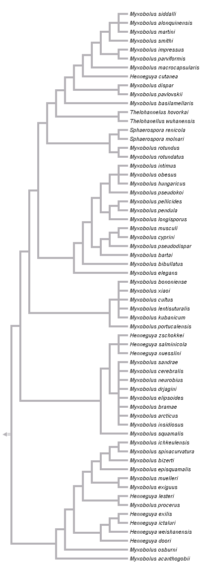 taxon links