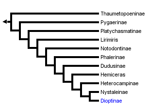 taxon links