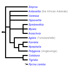 taxon links