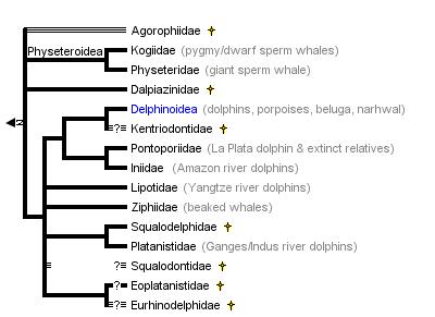 taxon links