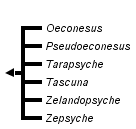 taxon links