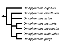 taxon links