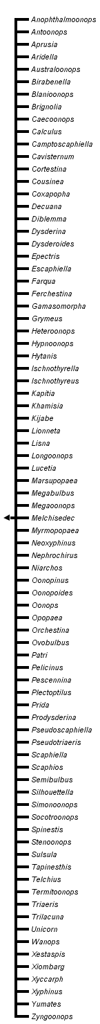 taxon links